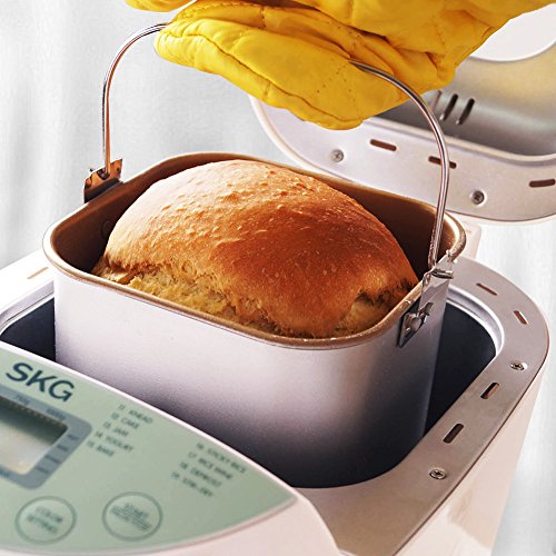 skg automatic bread maker 2lb