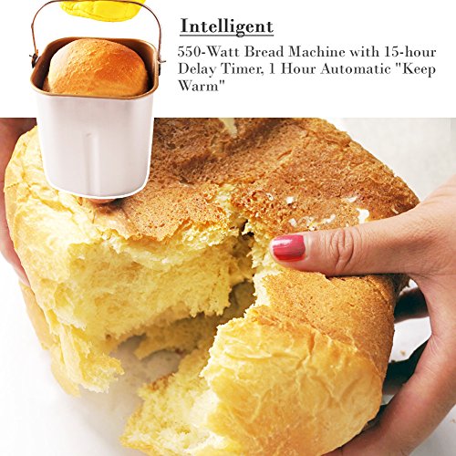 SKG bread maker 2lb review