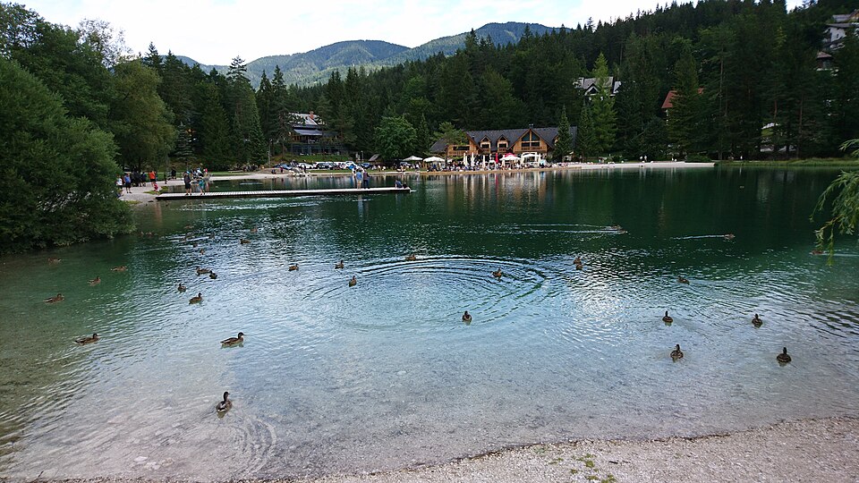 File:Lake Jasna Ducks (2).jpg