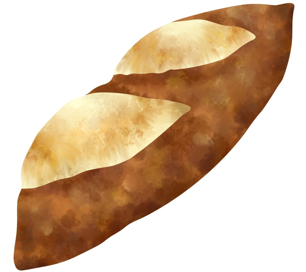 france batard bread isolated on white background