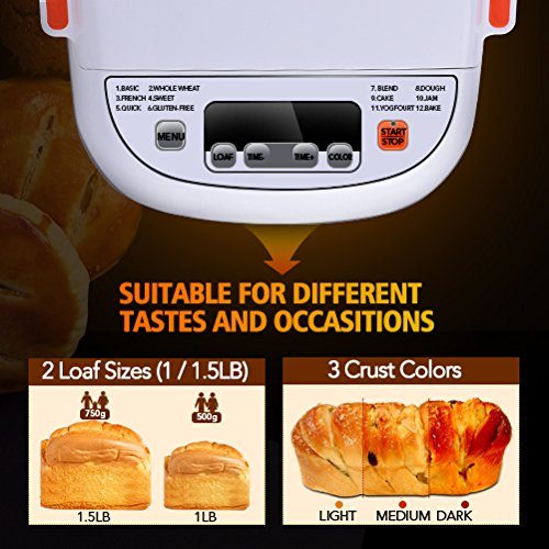 Vivreal Bread Machine review