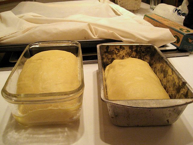 dough proofing box