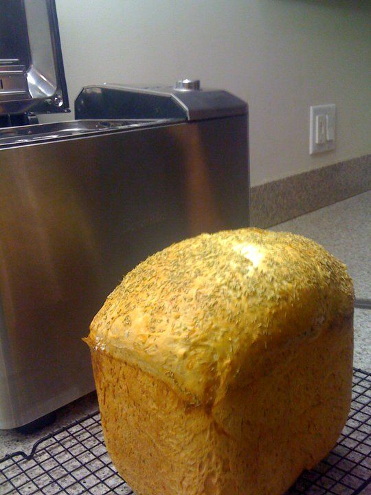 breville bbm800xl custom loaf bread maker