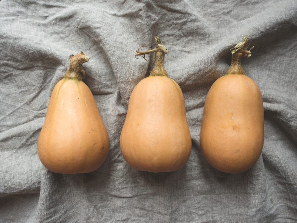 squash bread