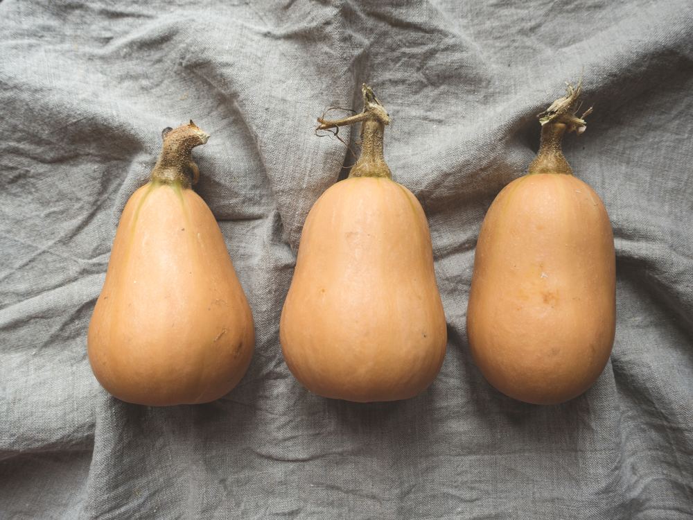 squash bread
