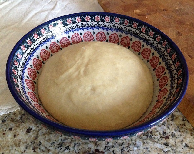 bread proofing box