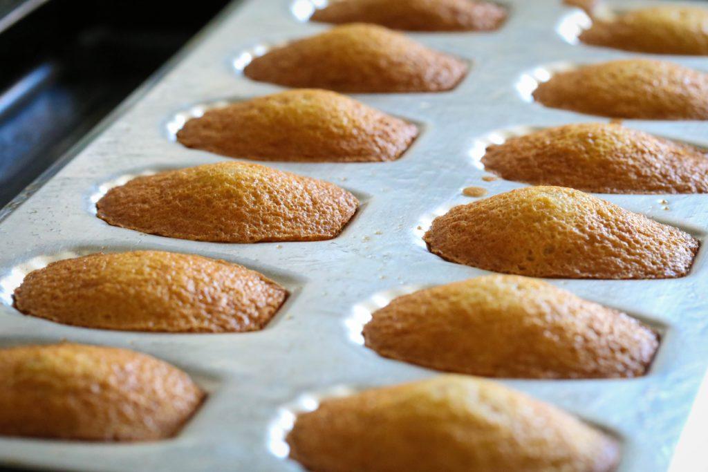 Madeleines recipe