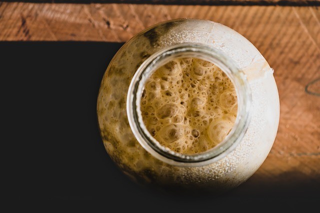 sourdough starter