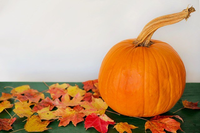 pumpkin bread