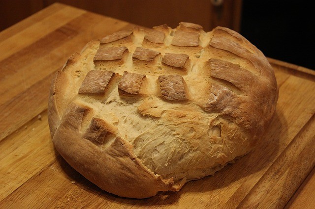sourdough starter recipe