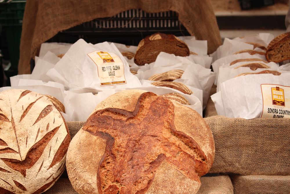 how to make sourdough starter