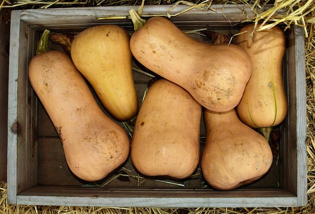 butternut bread
